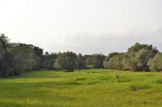 Casa rural en venta en Muro