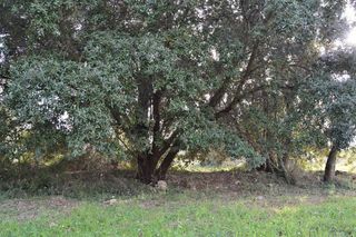 Casa rural en venta en Muro