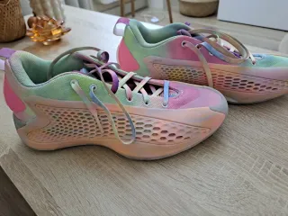 Zapatillas Baloncesto Multicolor