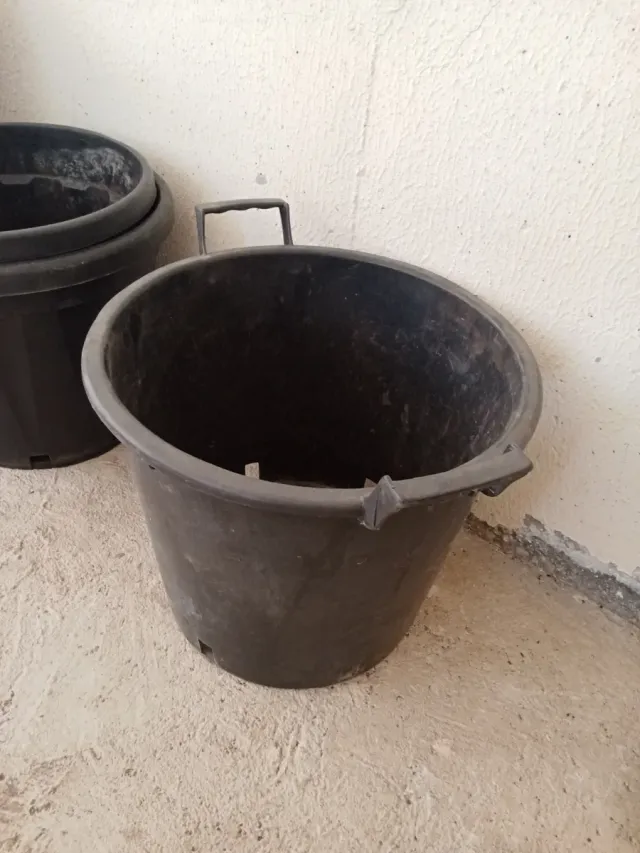 Lote de 12 macetones.