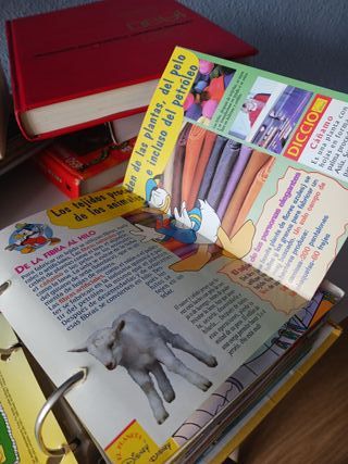 Libro infantil educativo, Disney 