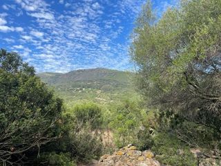 Terreno en venta en Tarifa