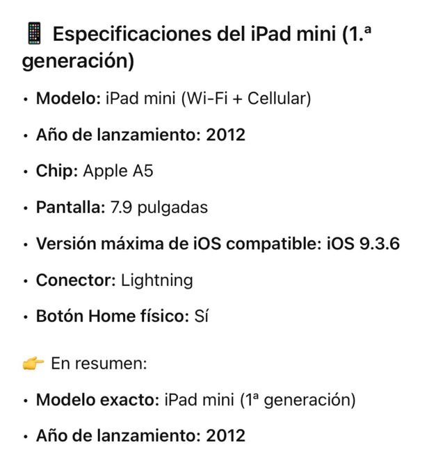 iPad Mini 1ª Gen Negro