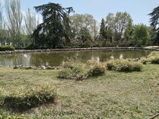 Piso en alquiler en Guindalera en Madrid