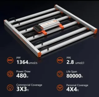 Spider Farmer G5000 LED Cultivo