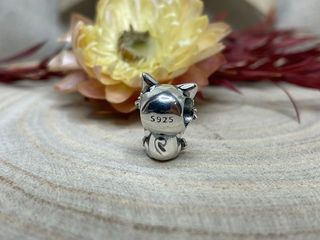 ✨Charm Brújula, cámara, mundo corazón
