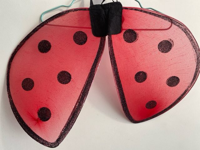 Disfraz Mariquita 3 años