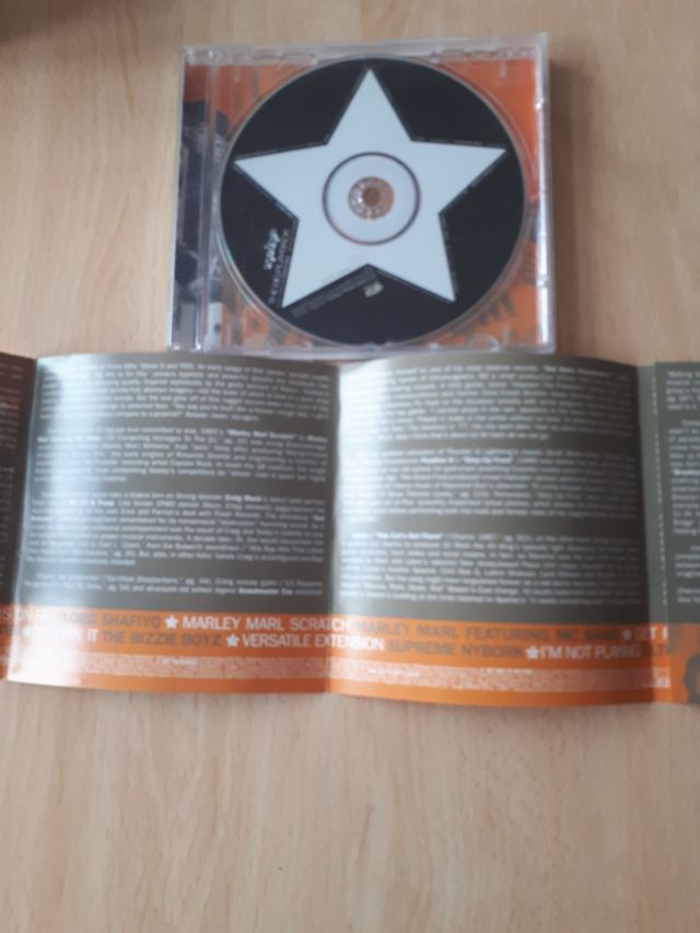 CD Ego Trip's The Big Playback