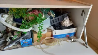 Accessori per acquari: riscaldatore, striscia, secchio