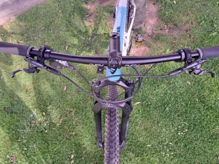 Berria Bravo Carbono