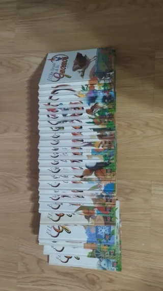 Colección de los Gnomos - Libros Infantiles