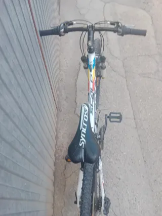 Bicicleta Scott Scale Niño 24