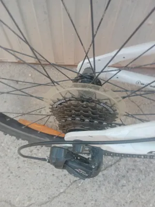 Bicicleta Scott Scale Niño 24
