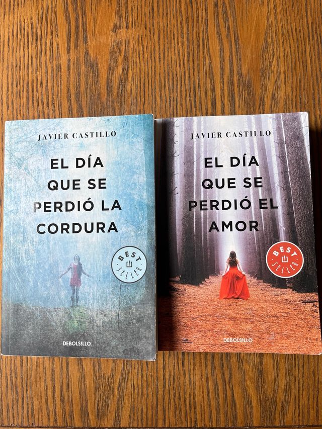 El día que se perdió la cordura /el amor