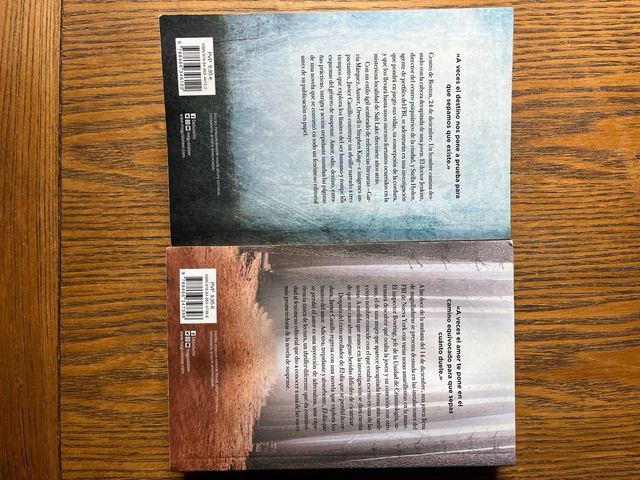 El día que se perdió la cordura /el amor