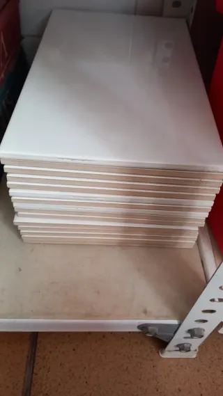 Azulejos blancos brillo 15x 31
