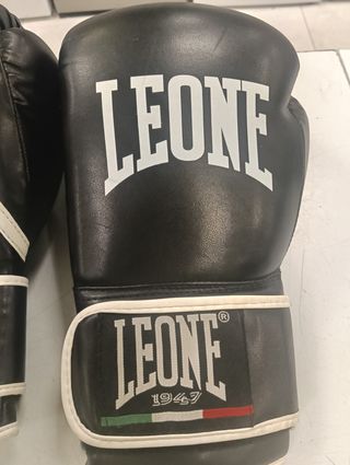 GUANTES DE BOXEO LEONE 14OZ