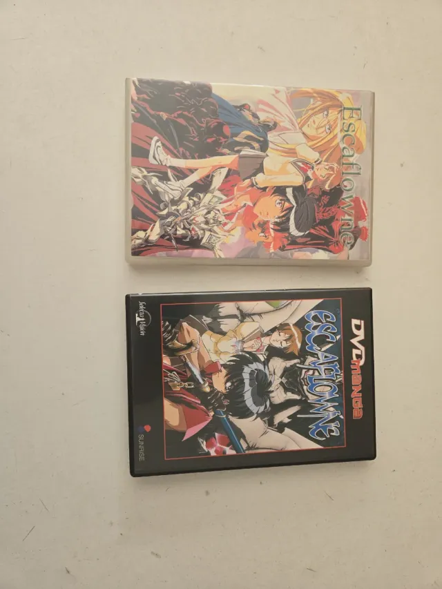 2 DVDs Escaflowne Anime