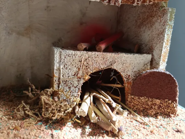 Figura Belén Herrería