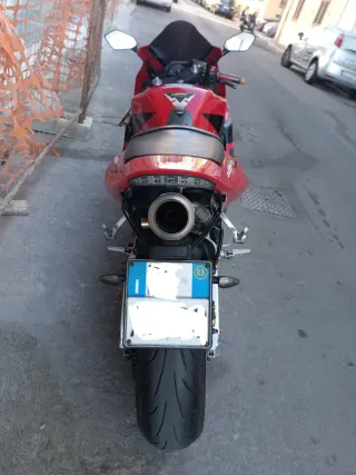 Silenziatore e collettore Honda CBR 600 rr