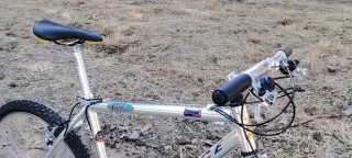 Bicicleta de Montaña