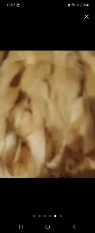 Abrigo de pelo de zorro