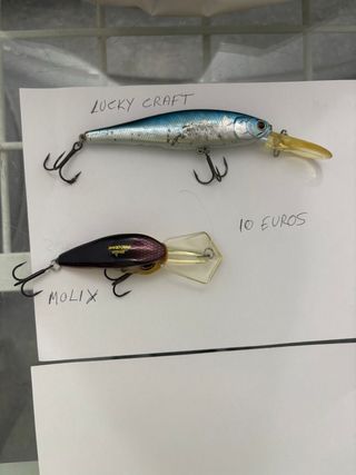 Señuelos de pesca Lucky Craft y Molix