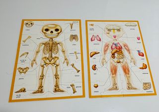 Puzzle Educa Le Corps Humain 4-7 años