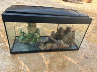 Pecera con adornos rocosos y plantas