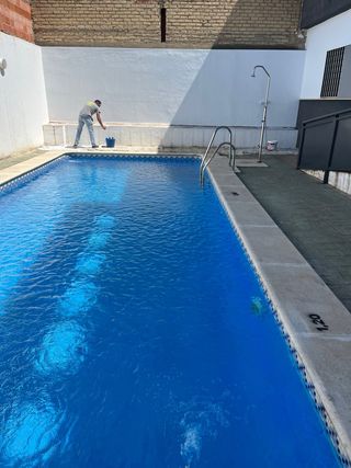 Pintores profesionales en Sevilla