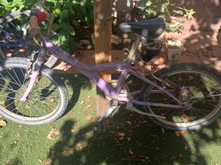 Bicicleta infantil montaña Boomerang F-20
