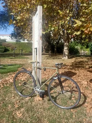 Bicicleta Fixie
