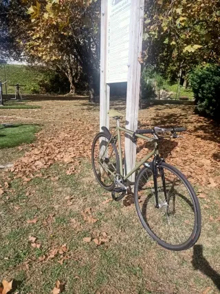 Bicicleta Fixie
