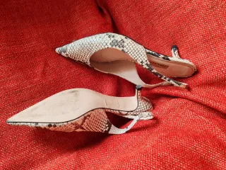Zapatos Zara Talla 40 Serpiente