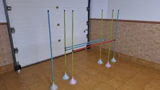 Circuito Agilidad para G.C. C.N.P. Económico