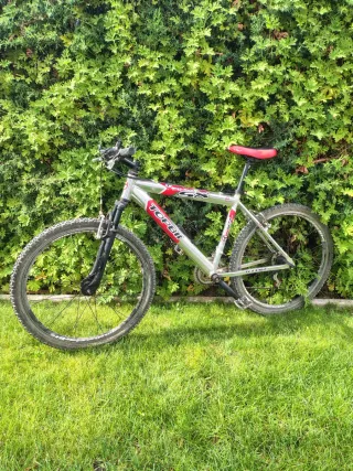 Bicicleta de Montaña Topbike SX