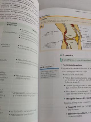Anatomofisiología y Patología Básicas - 9788417872007