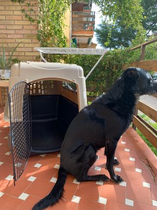 Transportín mascota grande Vari-Kennel Ultra