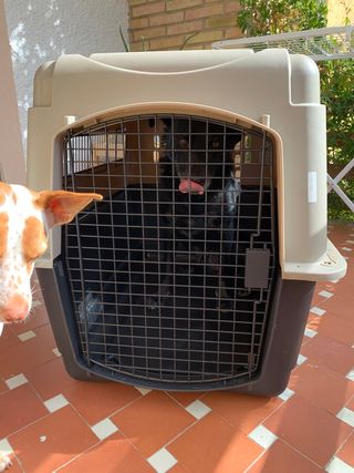 Transportín mascota grande Vari-Kennel Ultra