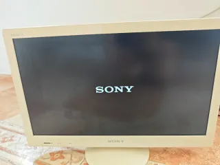 Monitor Sony Bravia Beige