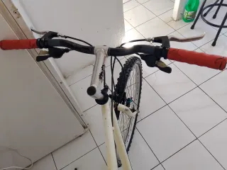 Bicicleta Montaña talla L de adulto 