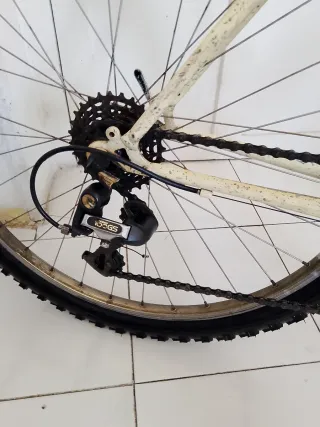 Bicicleta Montaña talla L de adulto 