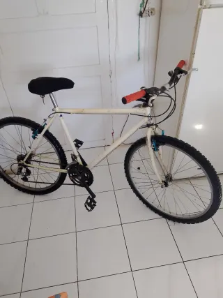 Bicicleta Montaña talla L de adulto 