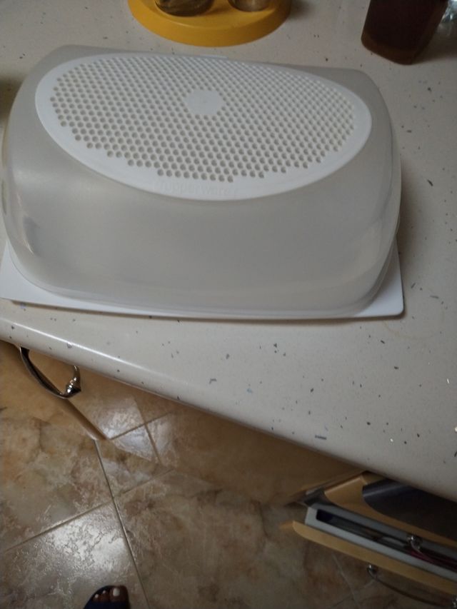 Quesera Tupperware Rectangular Transparente