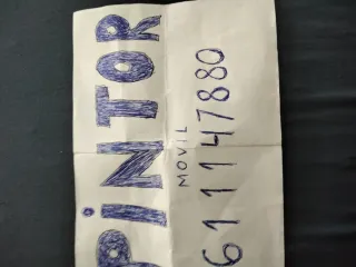 Pintor profesional 61147880