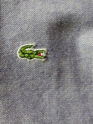 Pack Camisa Lacoste + Jersey La Martina Talla L