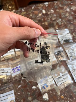 Lamiere metalliche per iPhone (Apple)