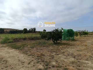 Terreno en venta en Almacelles