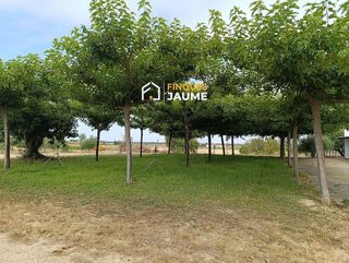 Terreno en venta en Almacelles