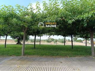 Terreno en venta en Almacelles